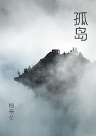 孤岛（np）